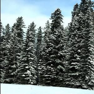 Meet your Posher, Eileen